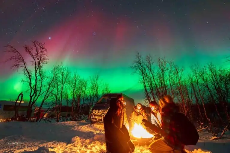 Tromsø: The Official Northern Lights Safari